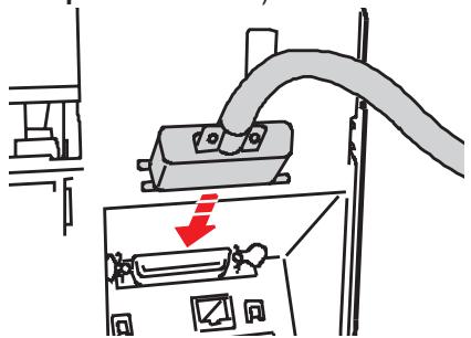 OLIVETTI ARTJET 22 - Installera skrivarens programvara - 1