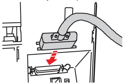 OLIVETTI ARTJET 22 - Installation du logiciel de l'imprimante - 1
