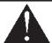 BRIGGS & STRATTON BRIGGS & STRATTON 1950 PSI - WARNING - 2