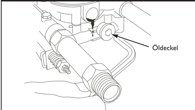 BRIGGS & STRATTON BRIGGS & STRATTON 1950 PSI - Beim Wechseln des Öls wie folgt vorgehen: - 1