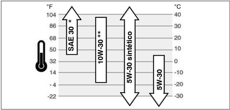 BRIGGS & STRATTON BRIGGS & STRATTON 400000 AND 440000 - Recomendações sobre o oleo - 1