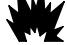 BRIGGS & STRATTON BRIGGS & STRATTON 613700 - ACHTUNG - 1