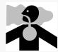 BRIGGS & STRATTON BRIGGS & STRATTON 613700 - SAFETY AND CONTROL SYMBOLS - 4