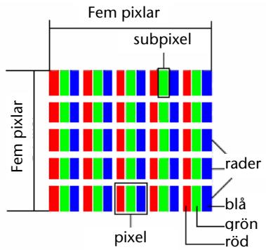 MEDION LCD TV MD 30036 - Pixelfel på LCD-skärmar (TFT-displayer) - 1