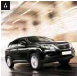 LEXUS RX 350 - Protection - 1