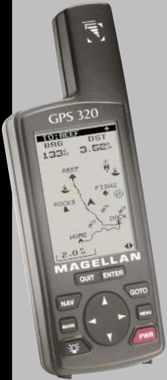 MAGELLAN GPS 315 - 1