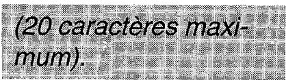 FRANCE TELECOM GALEO 2610 - Enregisterer-son nom - 2