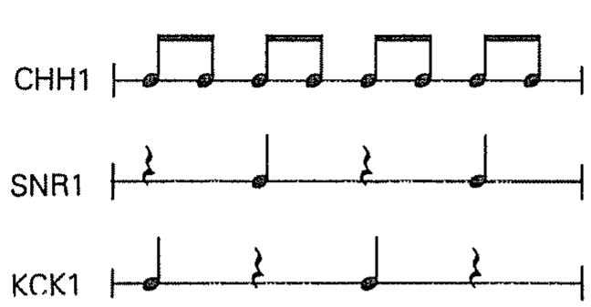BOSS DR-550MKII - Création d'un pattern rythmique simple - 1