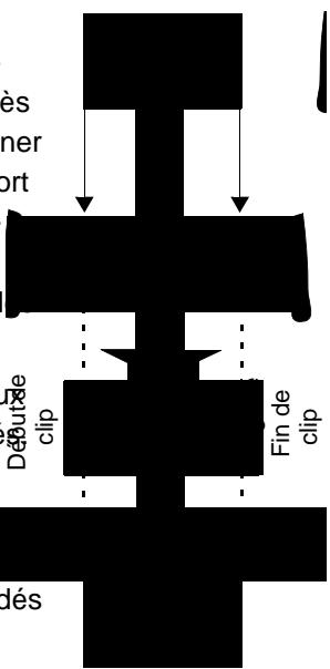 PINNACLE EDITION 5 - Numérisation par lot et calcul des effets - 1