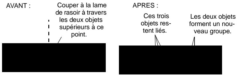 PINNACLE EDITION 5 - Modification d'éléments liés - 2