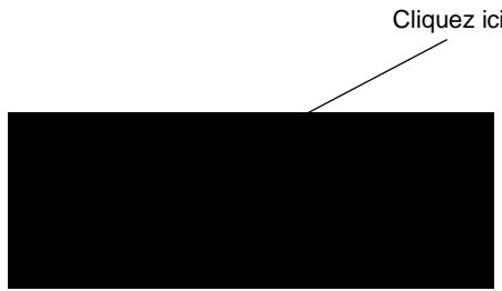 PINNACLE EDITION 5 - Modification manuelle des ajustements sélectionnés - 1