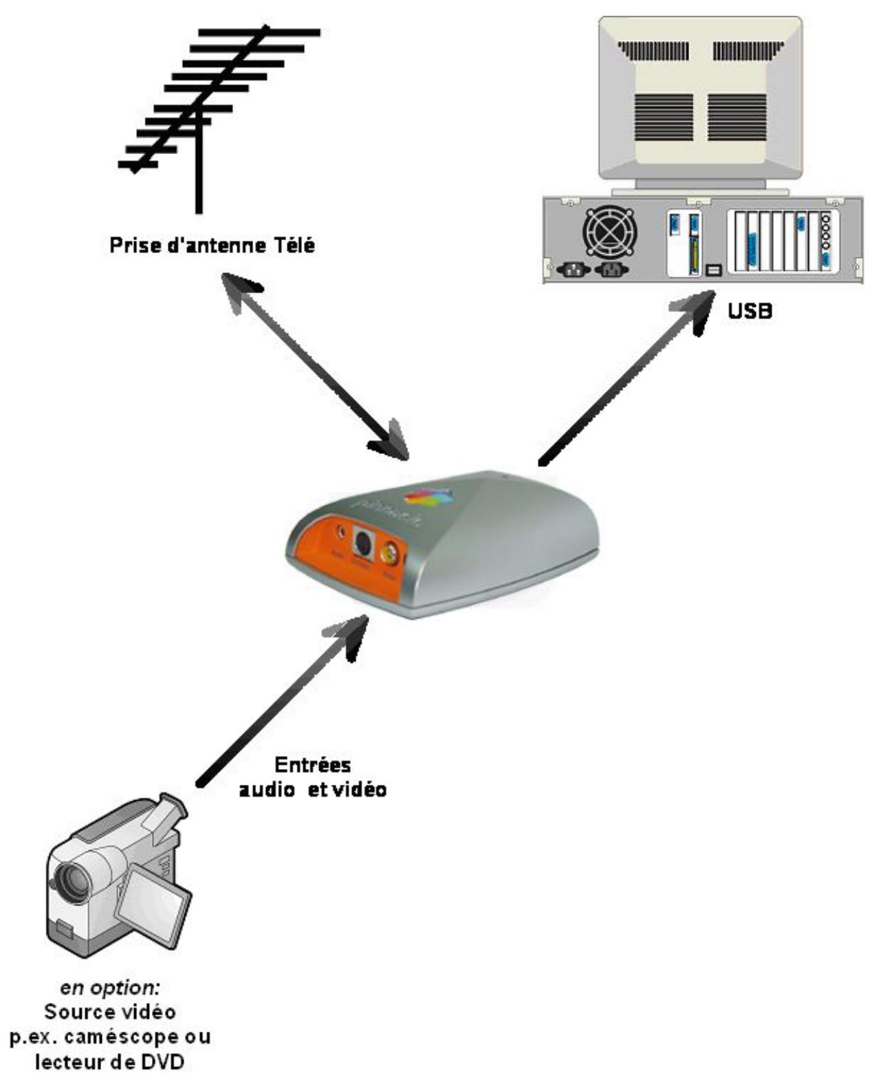 PINNACLE PCTV ANALOG PRO USB - Raccordement des appareils vidéo - 3