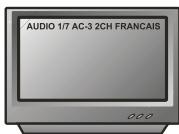 PEEKTON PK 6750 HDMI - Fonction AUDIO - 3