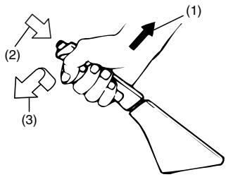 FIAT SEDICI - ATTENTION - 1