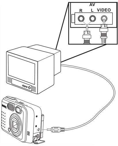 BENQ DC S30 - Affichage des images sur un téléviseur - 1