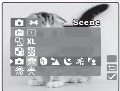 BENQ DC S30 - 3.1.9.5 - 7