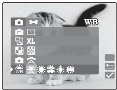 BENQ DC S30 - Équilibre des blancs - 2