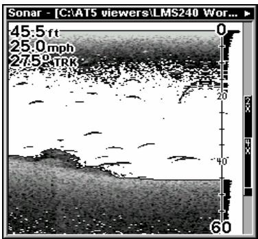 LOWRANCE LMS-520C - Pour afficher des informations à votre écran: - 5