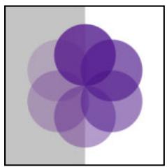 ADOBE ILLUSTRATOR 10 - Création de groupes partiants de transparence - 1