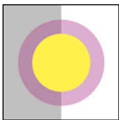 ADOBE ILLUSTRATOR 10 - Transparence, dégradés de couleurs et motifs - 2