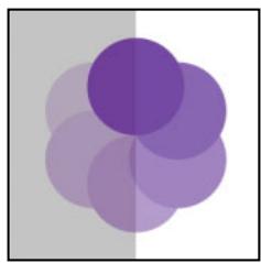 ADOBE ILLUSTRATOR 10 - Création de groupes partiants de transparence - 2