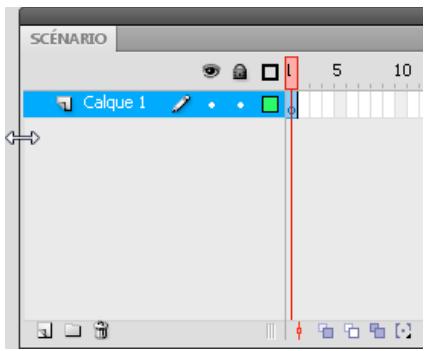 ADOBE FLASH CS5 - Modification de l'apparence du scenario - 1