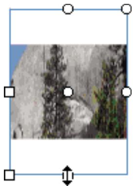 ADOBE FLASH CS5 - Transformation des replissages dégradés et de bitmap - 4