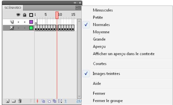 ADOBE FLASH CS5 - Changement de l'affichage des images dans le scenario - 1