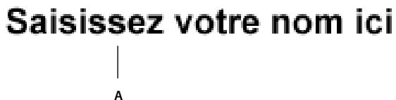 ADOBE FLASH CS5 - Choix du nom des boutons, champs de texte et applications SWF - 1