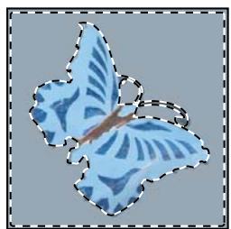 ADOBE PHOTOSHOP CS3 - Pour appliquer un contour progressif à une sélection existante - 1