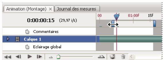 ADOBE PHOTOSHOP CS3 - Définition de la zone de montage à prévisualiser (Photoshop Extended) - 1