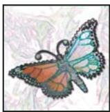 ADOBE PHOTOSHOP CS3 - A propos des masques et des couches alpha - 6