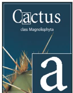 ADOBE PHOTOSHOP CS3 - Lissage du calque de texte - 1