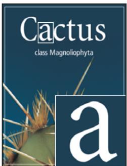 ADOBE PHOTOSHOP CS3 - Lissage du calque de texte - 2