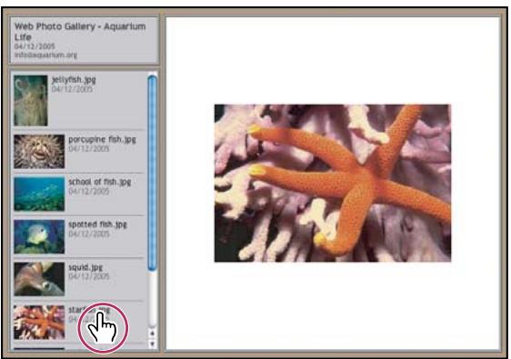 ADOBE PHOTOSHOP CS3 - A propos des galeries de photos Web - 1