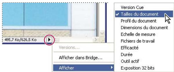 ADOBE PHOTOSHOP CS3 - Affichage des informations sur le fichier dans la fenêtre du document - 1