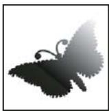 ADOBE PHOTOSHOP CS3 - A propos des masques et des couches alpha - 3
