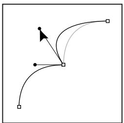 ADOBE PHOTOSHOP CS3 - Segments, composants et points de tracés - 5