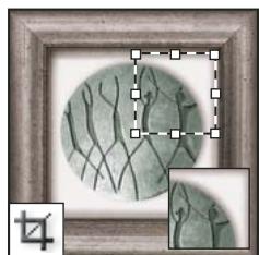 ADOBE PHOTOSHOP CS3 - Galerie d'outils de recadrage et de tranche - 1