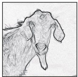 ADOBE PHOTOSHOP CS3 - Pour renforcer la netteté d'une image à l'aide d'un masque de contour - 2