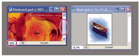 ADOBE PHOTOSHOP CS3 - Correspondance du zoom et des positions de différentes images - 1