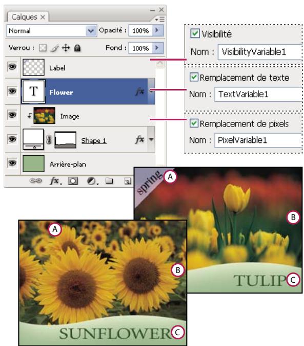 ADOBE PHOTOSHOP CS3 - Définition des variables - 1