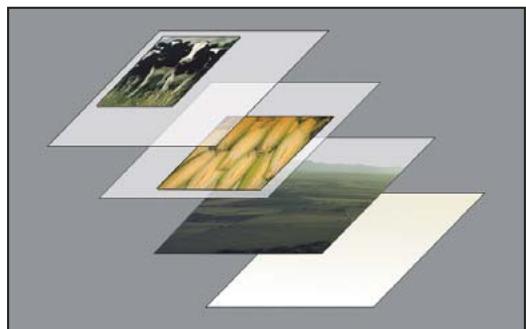 ADOBE PHOTOSHOP CS3 - A propos des calques - 1