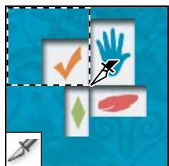 ADOBE PHOTOSHOP CS3 - Galerie d'outils de recadrage et de tranche - 2