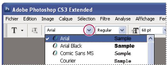 ADOBE PHOTOSHOP CS3 - Choix d'une famille et d'un style de caractères - 2