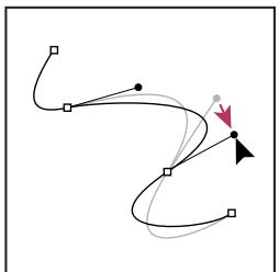 ADOBE PHOTOSHOP CS3 - Réglage de la position ou de la forme des segments courbes - 3