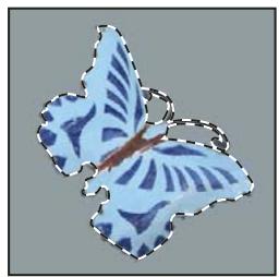 ADOBE PHOTOSHOP CS3 - Création d'une sélection autour d'un cadre de sélection - 1