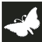 ADOBE PHOTOSHOP CS3 - A propos des masques et des couches alpha - 1