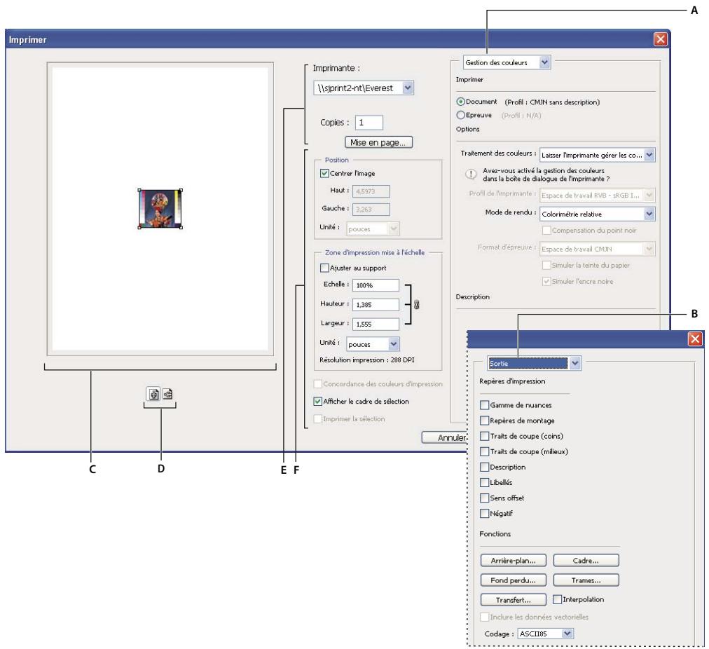 ADOBE PHOTOSHOP CS3 - Définition des options d'impression dans Photoshop et impression - 1