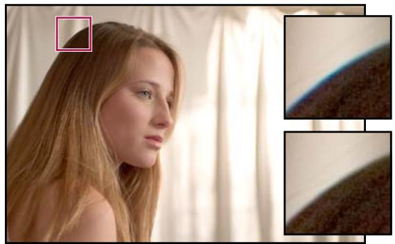 ADOBE PHOTOSHOP CS3 - Compensation d'une aberration chromatique dans Camera Raw - 1